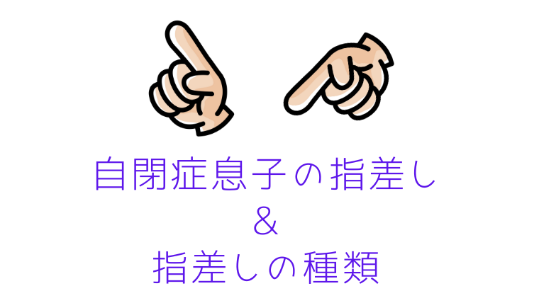 自閉症息子の指差し 指差しの種類 Cocoroblog